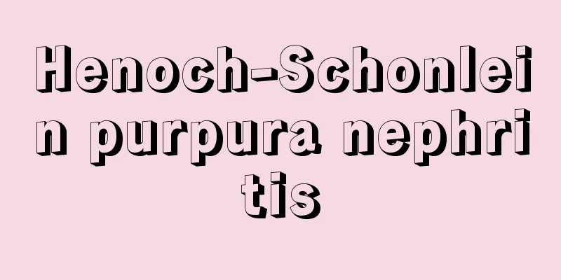Henoch-Schonlein purpura nephritis