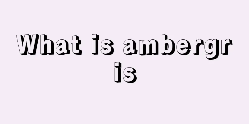 What is ambergris