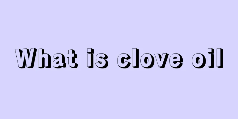 What is clove oil