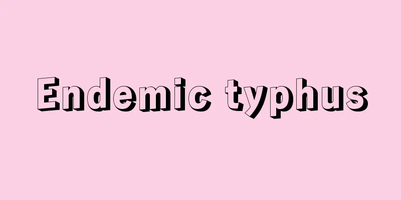 Endemic typhus
