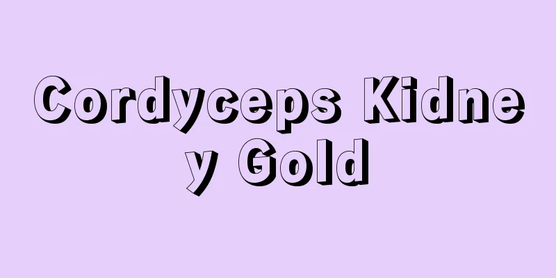 Cordyceps Kidney Gold