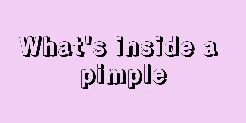 What's inside a pimple