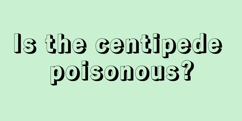 Is the centipede poisonous?