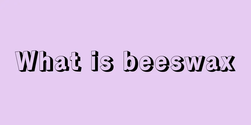 What is beeswax
