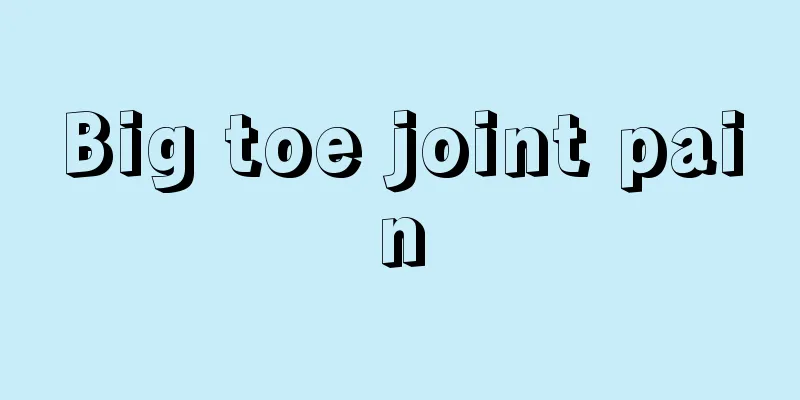 Big toe joint pain