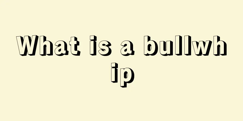 What is a bullwhip