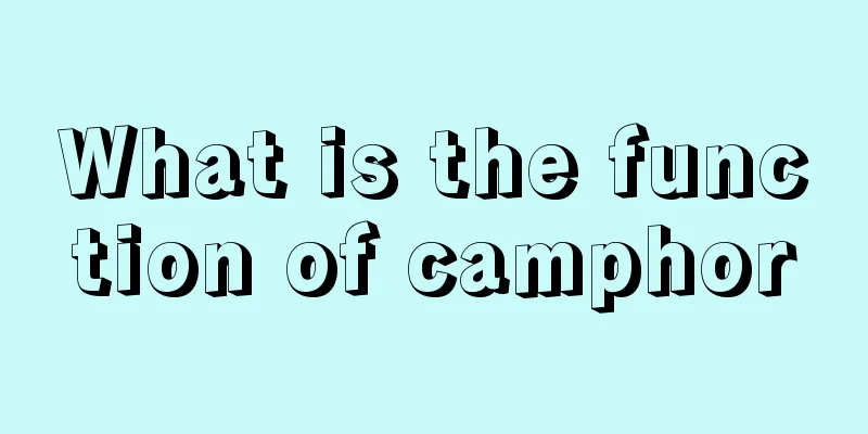 What is the function of camphor