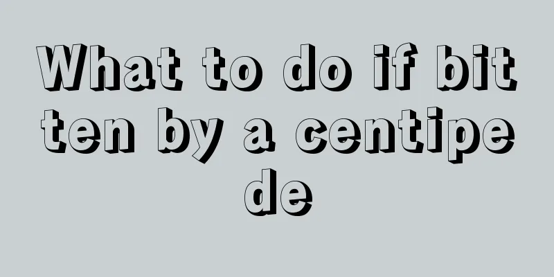 What to do if bitten by a centipede