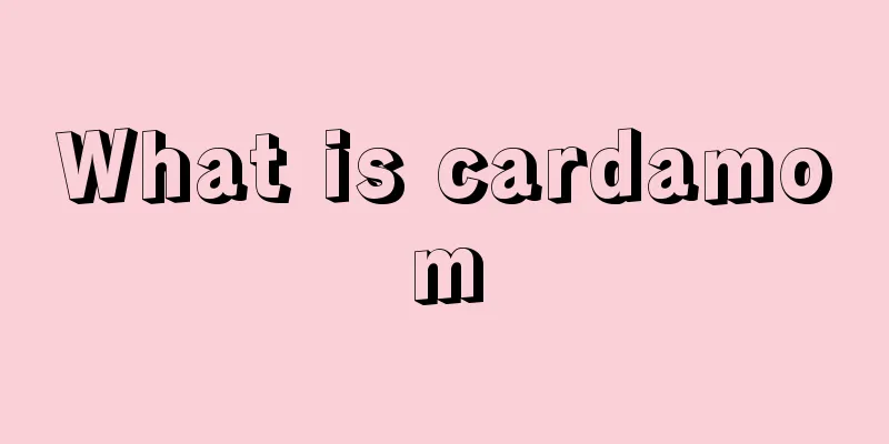 What is cardamom