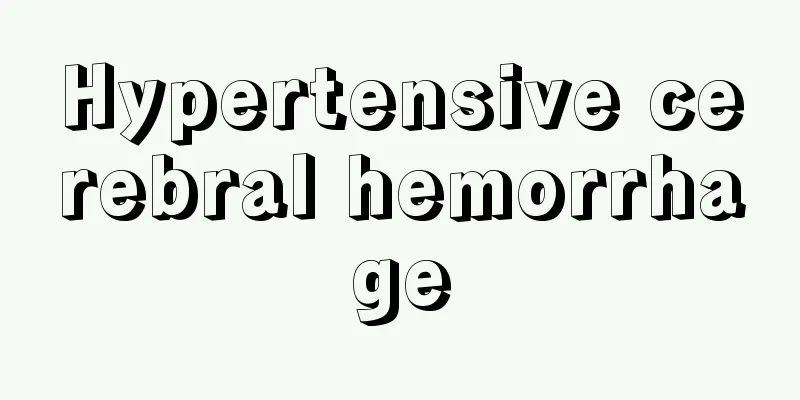 Hypertensive cerebral hemorrhage