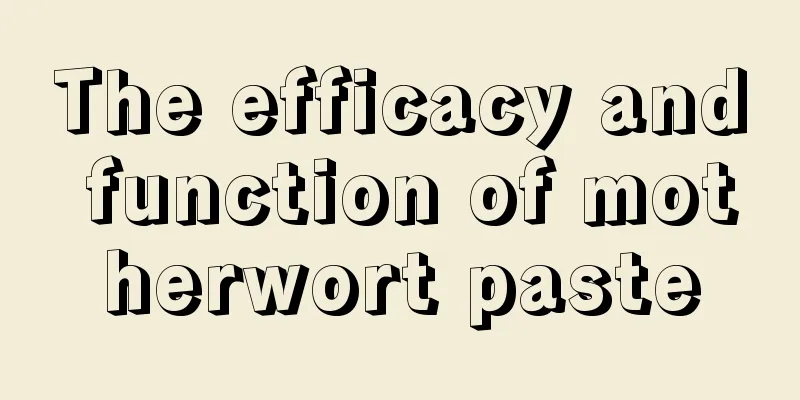 The efficacy and function of motherwort paste