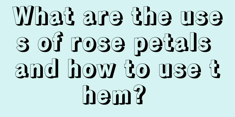 What are the uses of rose petals and how to use them? 