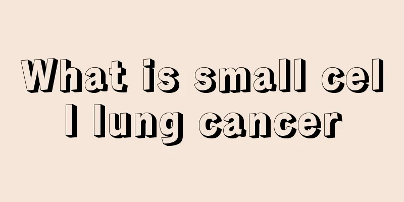 What is small cell lung cancer