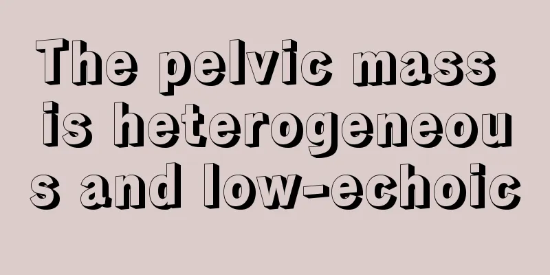 The pelvic mass is heterogeneous and low-echoic