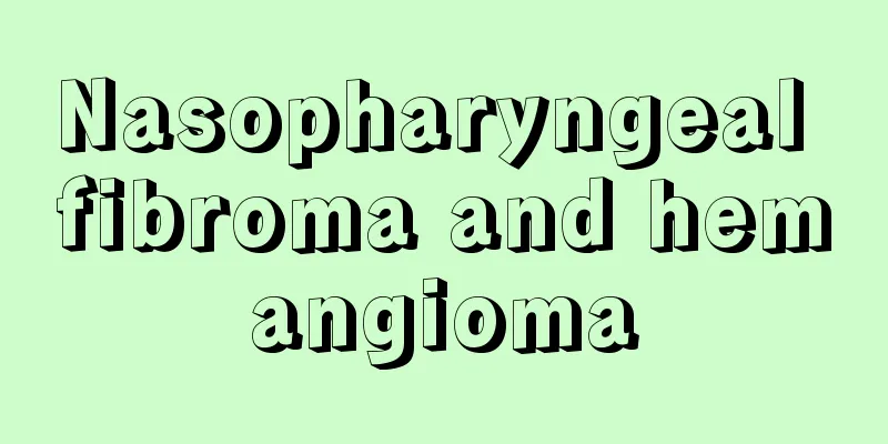 Nasopharyngeal fibroma and hemangioma