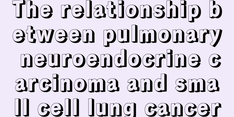 The relationship between pulmonary neuroendocrine carcinoma and small cell lung cancer