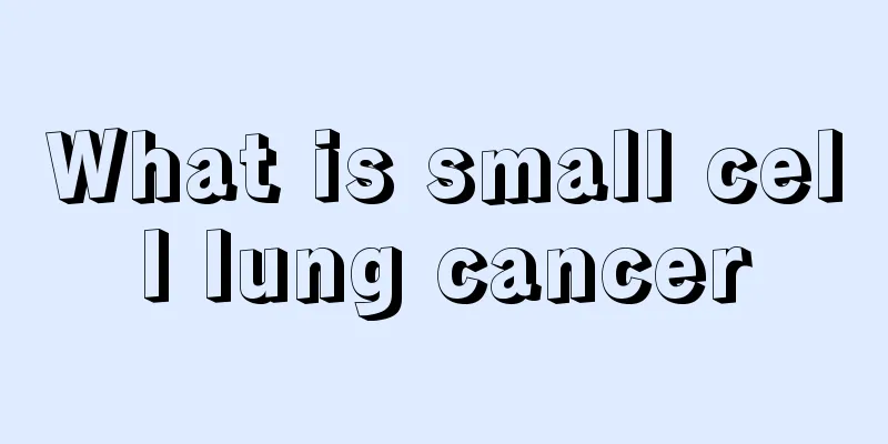 What is small cell lung cancer