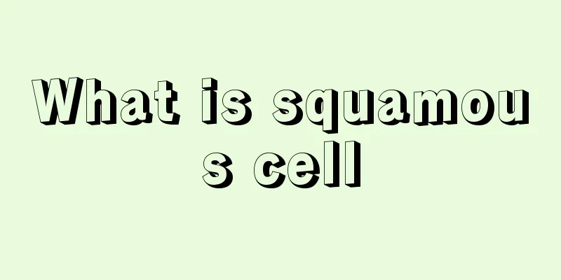 What is squamous cell