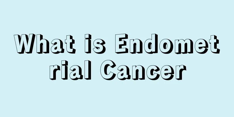 What is Endometrial Cancer