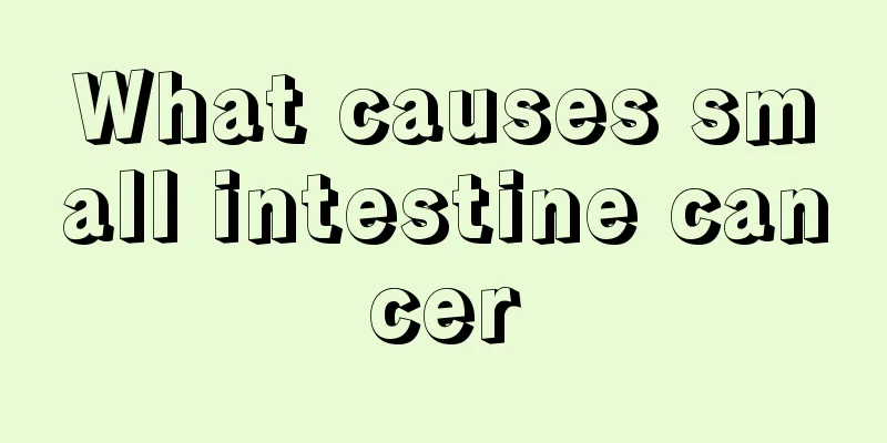 What causes small intestine cancer