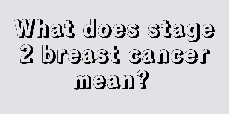 What does stage 2 breast cancer mean? 