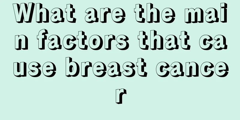 What are the main factors that cause breast cancer