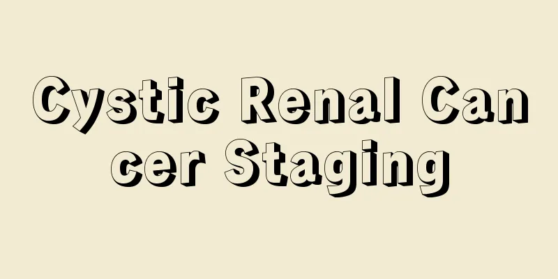 Cystic Renal Cancer Staging