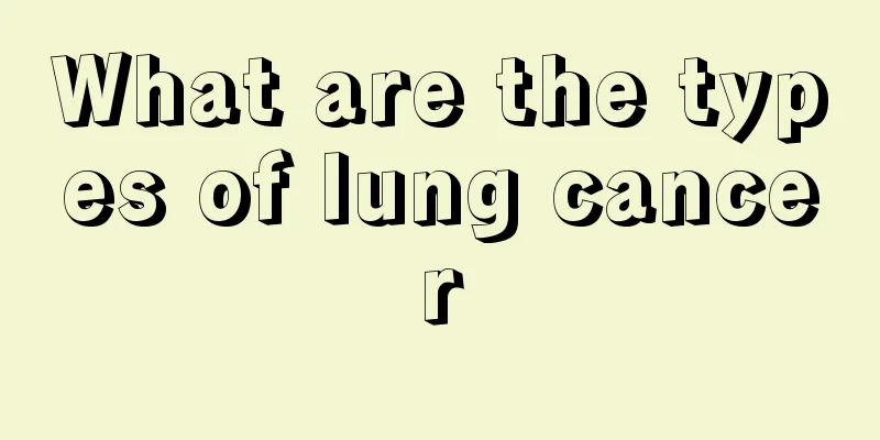 What are the types of lung cancer