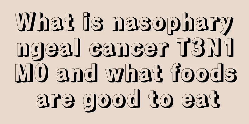 What is nasopharyngeal cancer T3N1M0 and what foods are good to eat