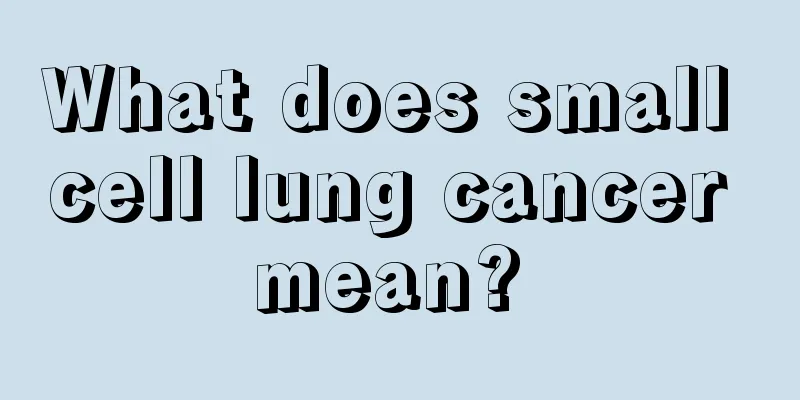 What does small cell lung cancer mean? 