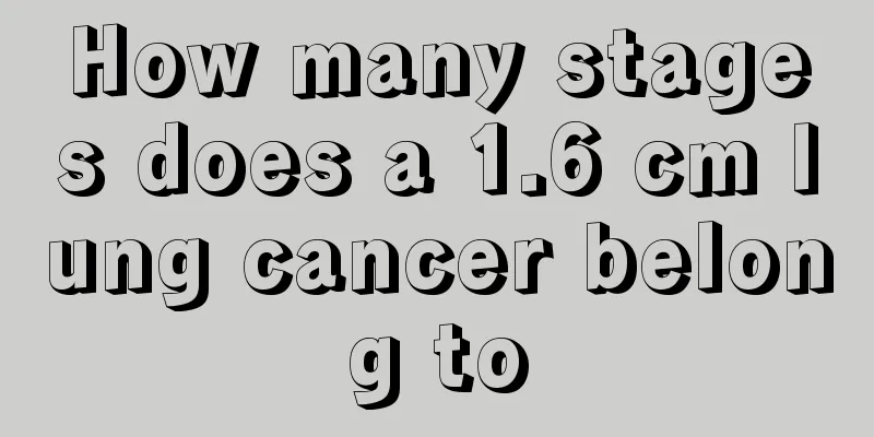 How many stages does a 1.6 cm lung cancer belong to