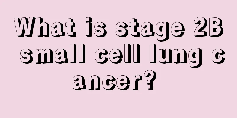 What is stage 2B small cell lung cancer? 