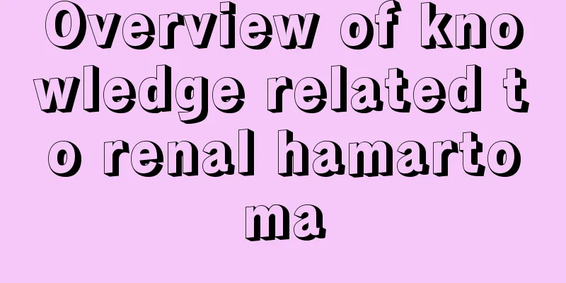 Overview of knowledge related to renal hamartoma