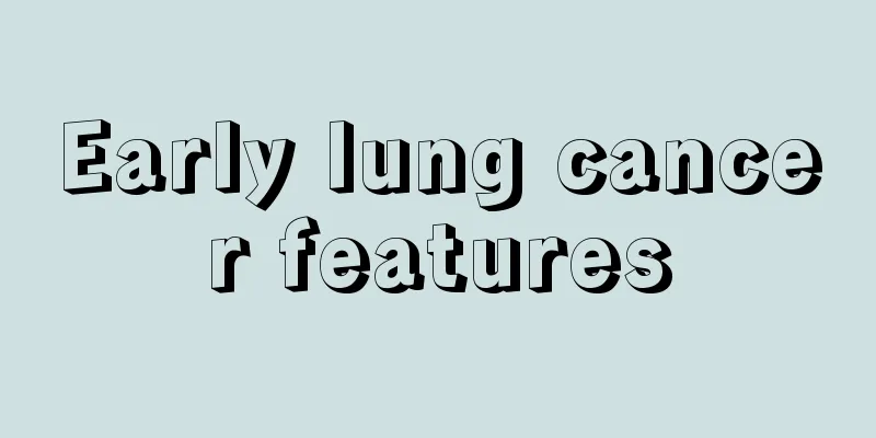 Early lung cancer features