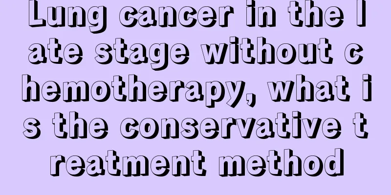 Lung cancer in the late stage without chemotherapy, what is the conservative treatment method