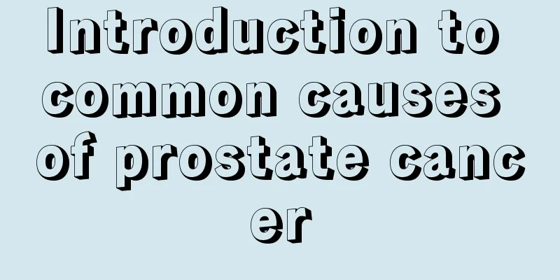 Introduction to common causes of prostate cancer