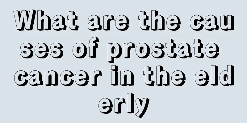 What are the causes of prostate cancer in the elderly