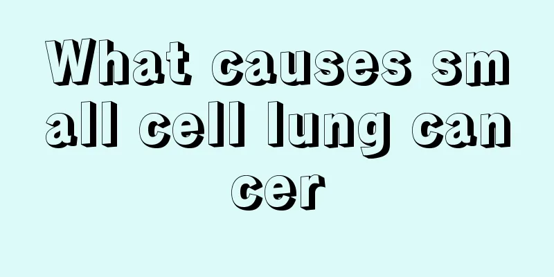 What causes small cell lung cancer