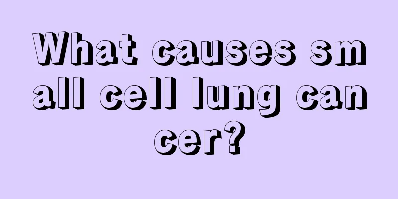 What causes small cell lung cancer?
