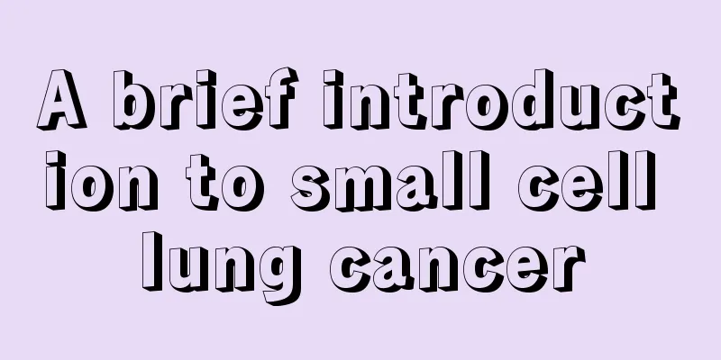 A brief introduction to small cell lung cancer