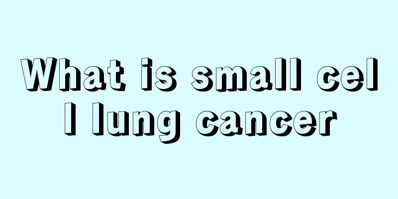 What is small cell lung cancer