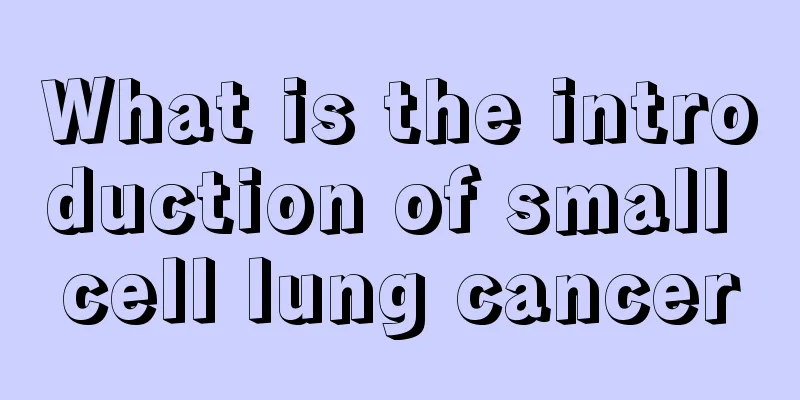 What is the introduction of small cell lung cancer