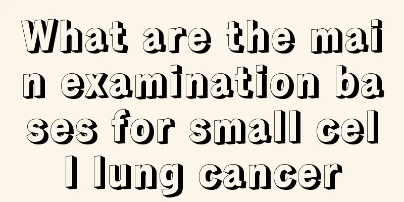 What are the main examination bases for small cell lung cancer