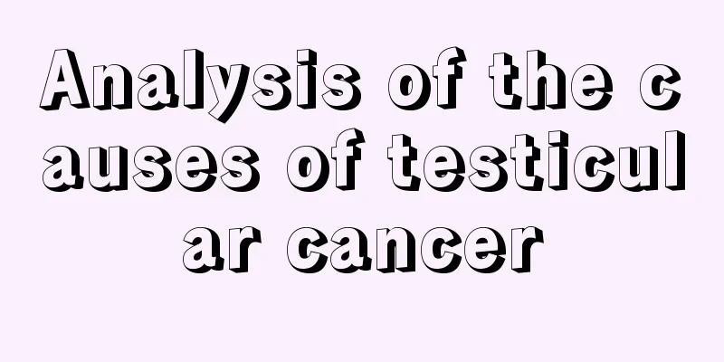 Analysis of the causes of testicular cancer