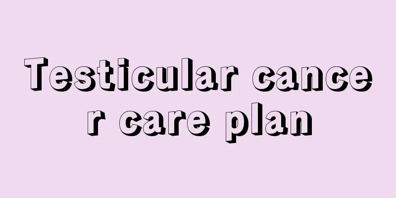 Testicular cancer care plan