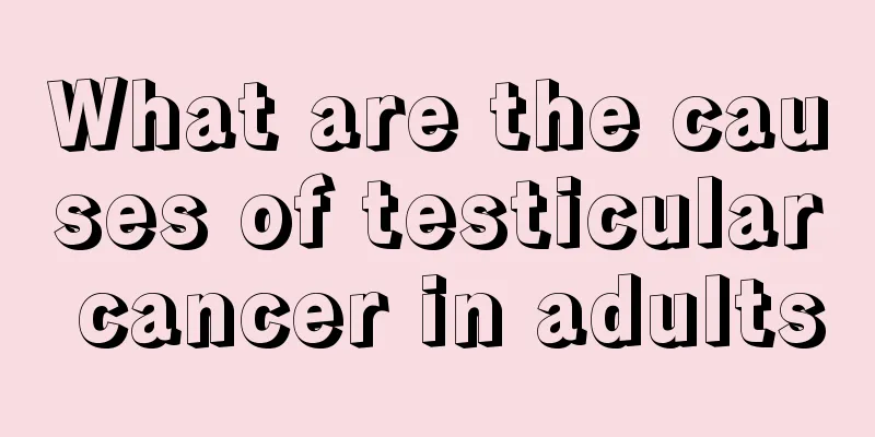 What are the causes of testicular cancer in adults
