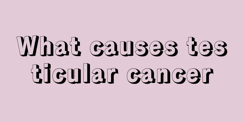 What causes testicular cancer