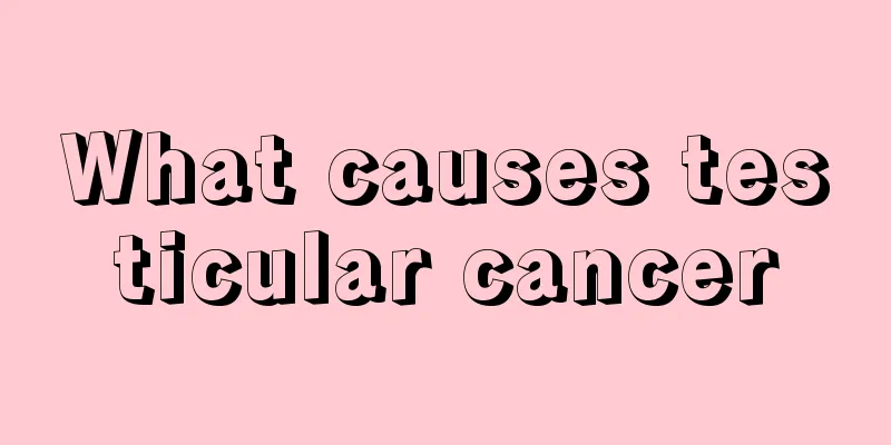What causes testicular cancer