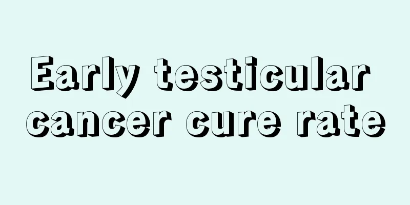 Early testicular cancer cure rate