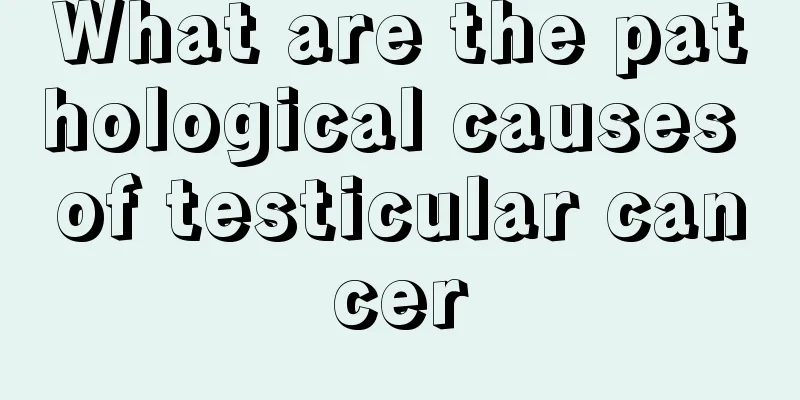 What are the pathological causes of testicular cancer